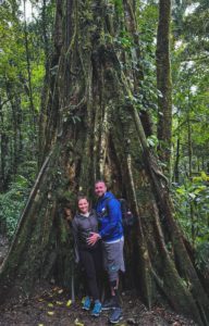 Regenwoud, Nevelwoud Costa Rica